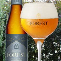 Abbaye de Forest